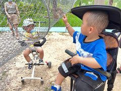 -合肥滨湖国家森林公园