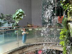 -正佳雨林生态植物园