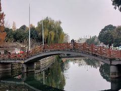 -温江公园
