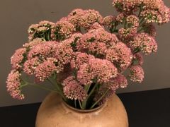 -满堂匠心川宴·私房菜(天府三街店)