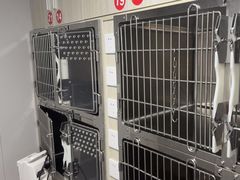 -半岛宠物医院24小时(科华中路店)