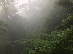 -七仙岭温泉国家森林公园