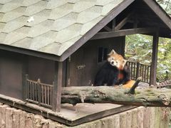 -云南野生动物园