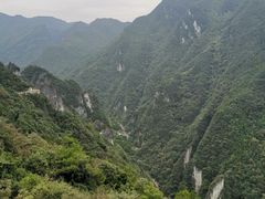 -武陵山森林公园