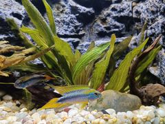 -上海海洋水族馆