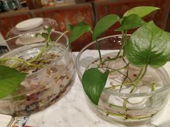 -越美小馆·越南料理(曲江店)