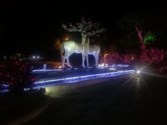 -鹭江潮餐厅•福建菜(鹭江佲家酒店)