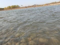 -伊犁河风景区