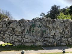 -南京老山国家森林公园