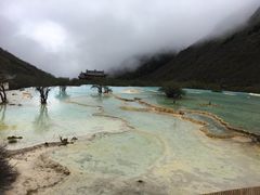 -黄龙山原始森林景区