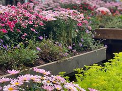-冰冰龙虾·江湖菜·花园江景餐厅