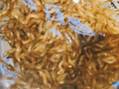-鸽子窝(宋庄店)
