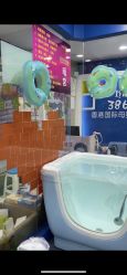点击看大图 -爱生活·产后修复·婴幼儿游泳馆