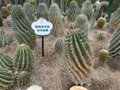 -南山植物园