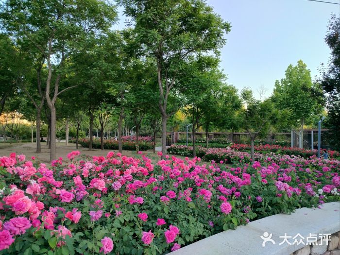 坝河休闲公园图片