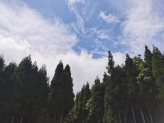 -武陵山森林公园