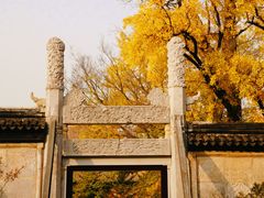 -苏州文庙(姑苏区)