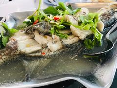 -光海鲜鱼翅餐厅(叻差拉披色路店)
