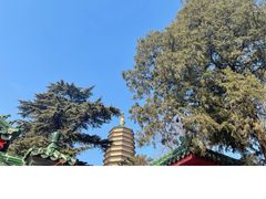 -八大处公园