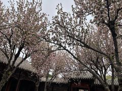 -趵突泉景区