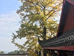 -金堂县云顶石城风景区