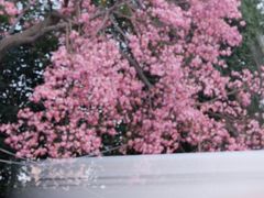 -泉州海丝野生动物世界