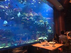 -迪拜帆船酒店海底餐厅