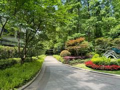 -徐家汇源景区-衡山公园