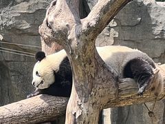 -宁波野生动物园