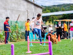 -趣玩宠物乐园寄养训犬训狗游泳池