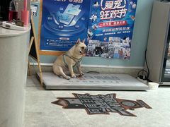 -纳吉亚猫专科动物医院·北北分院