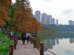 -重庆彩云湖湿地公园