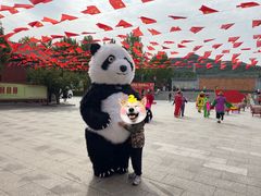 -龙口南山旅游景区