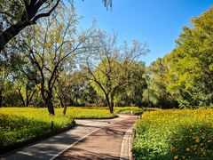 -朝阳公园游乐园