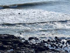 -漳州滨海火山岛自然生态风景区