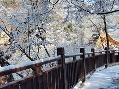 -藏山旅游风景区