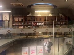 -了不起的考拉咖啡店(高新店)