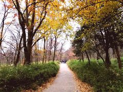 -紫金山山顶公园