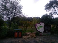 景点-铁山坪森林公园