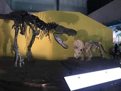 -湖南省地质博物馆