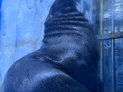 -多彩贵州城极地海洋世界