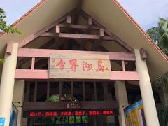 -海南分界洲岛旅游区