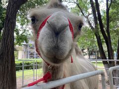 -长白岛森林公园