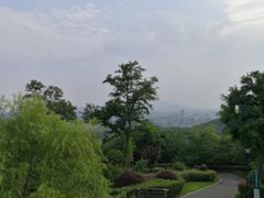 -羊山湖公园
