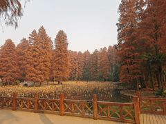 -东湖磨山景区