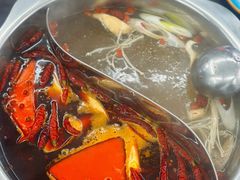 -金鼎雪山牦牛杂火锅(理县总店)