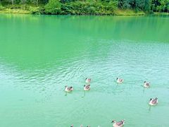 -广州白江湖森林公园