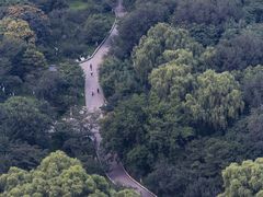 -中央广播电视塔