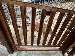 -北京鹿世界主题园