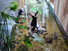 -邈墨茶馆(凤起路店)